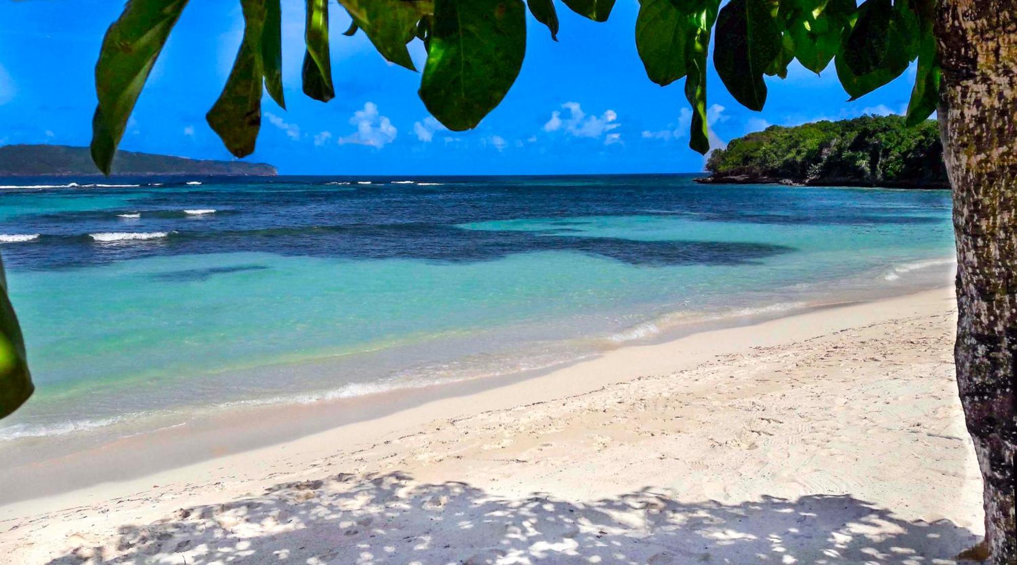 Las Mariposas Las Galeras Εξωτερικό φωτογραφία